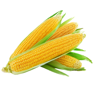 Corn