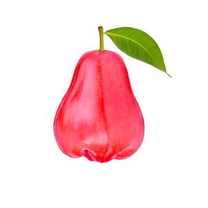 Roseapple