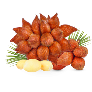 Salaca